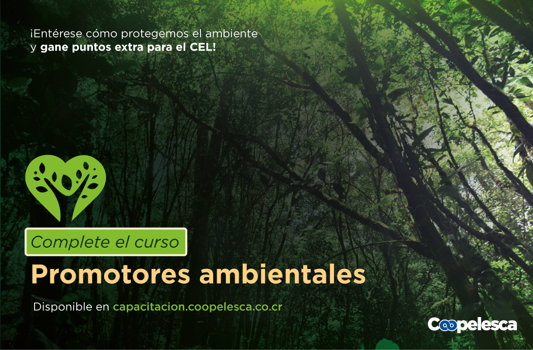 Inducción a la Gerencia Comercial y Soluciones  CP03-2024